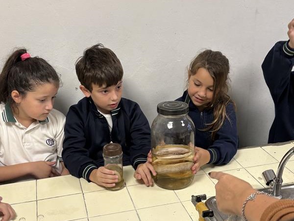 Laboratorio